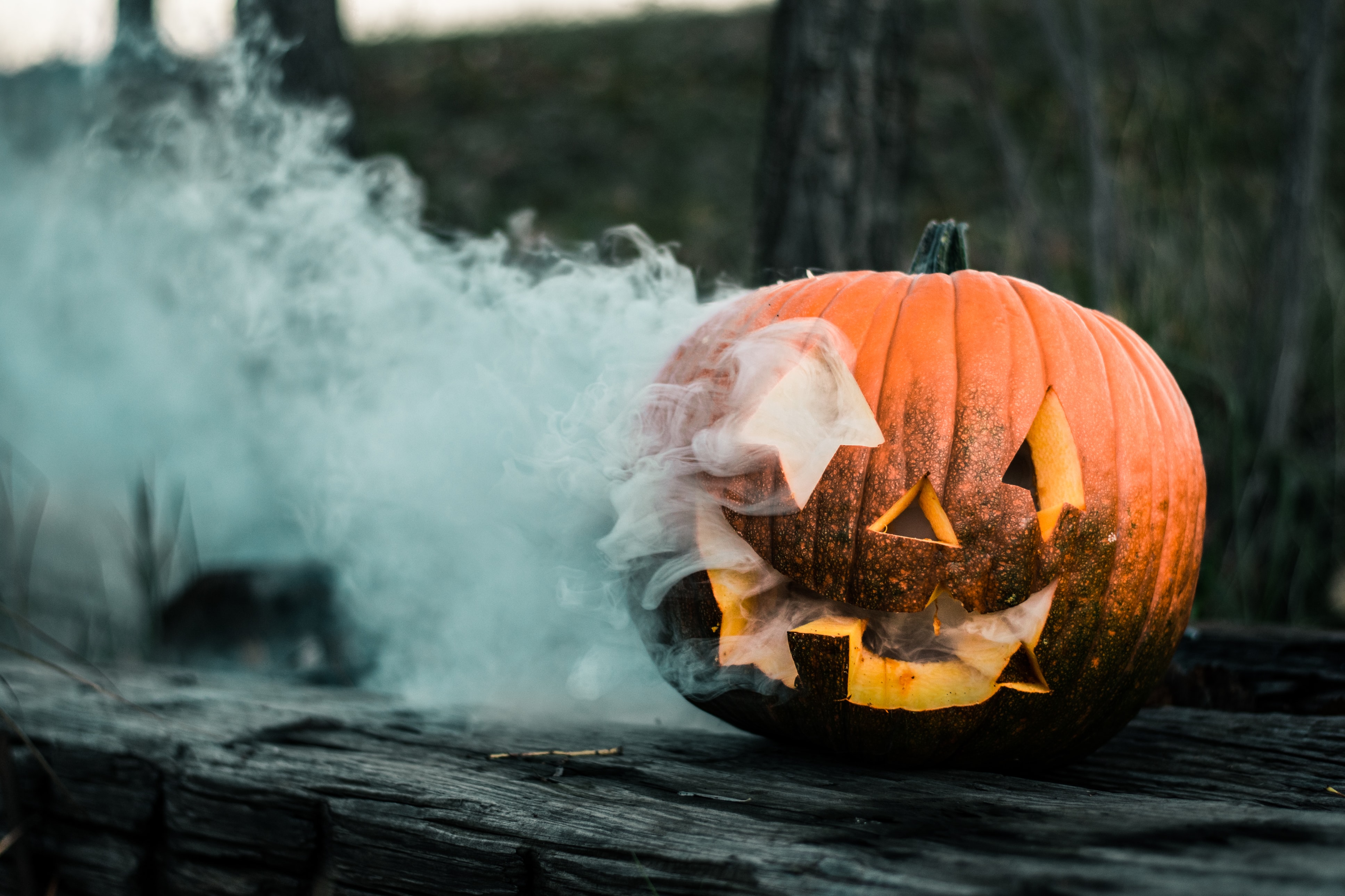 Jack O'Lantern World opens in Lemont, Illinois